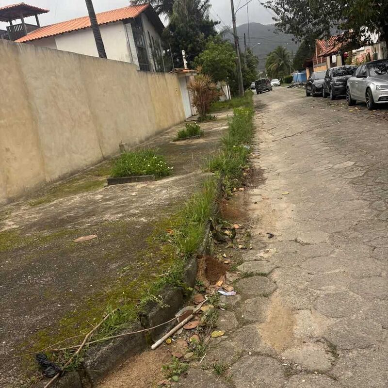 Imagem da publicação