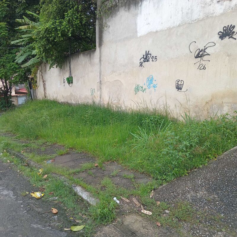 Imagem da publicação