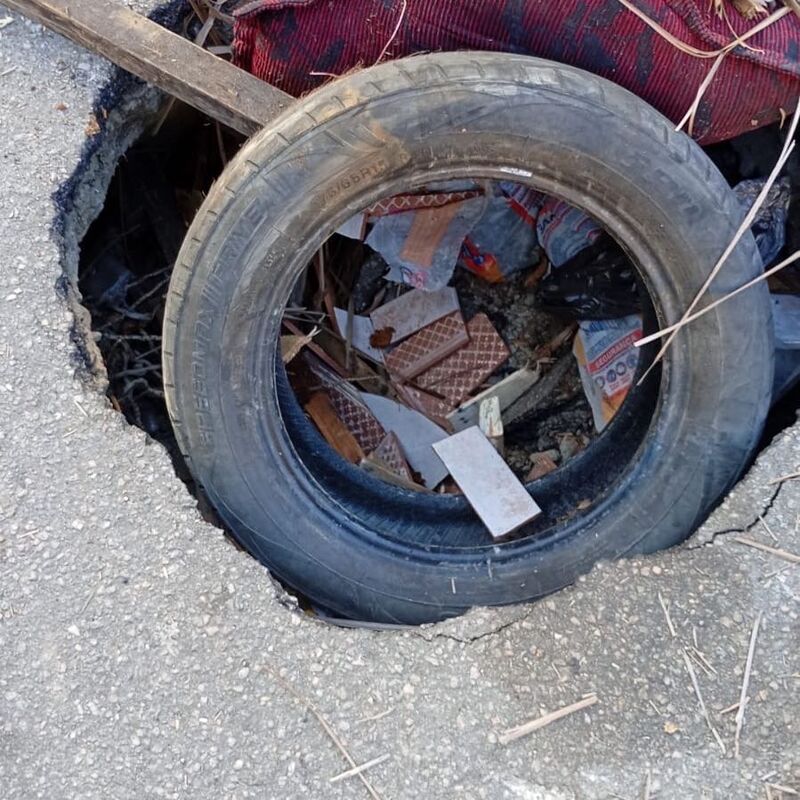 Imagem da publicação