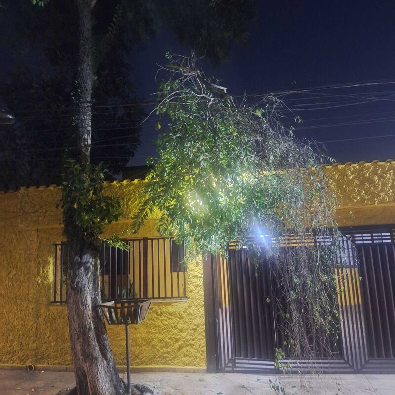 Imagem da publicação