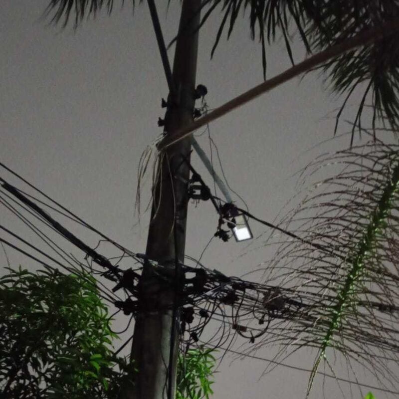 Imagem da publicação