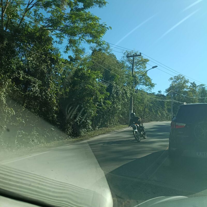 Imagem da publicação