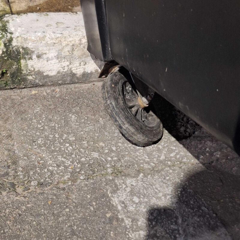 Imagem da publicação