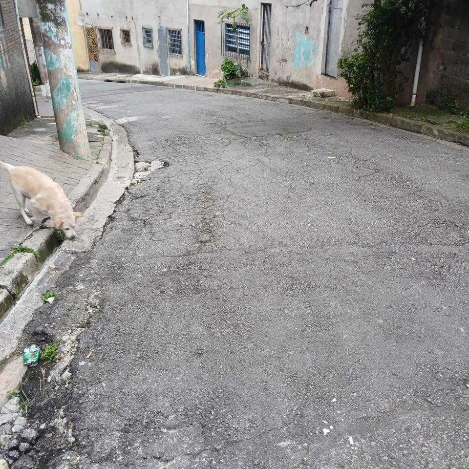 Imagem da publicação