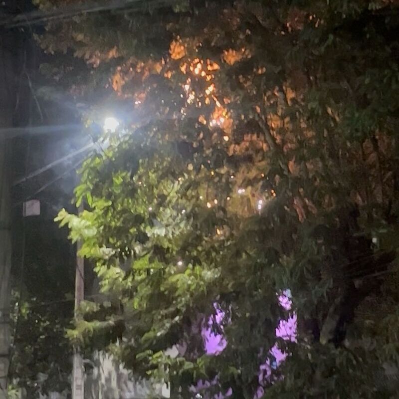 Imagem da publicação