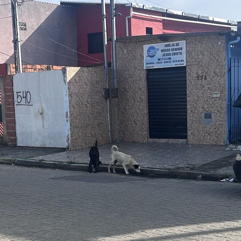 Imagem da publicação