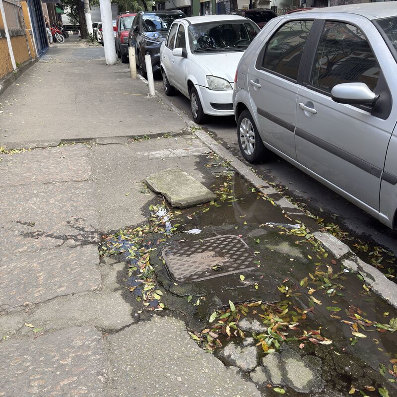 Imagem da publicação
