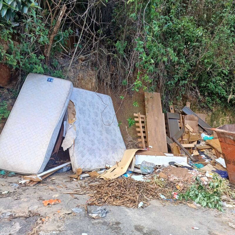 Imagem da publicação