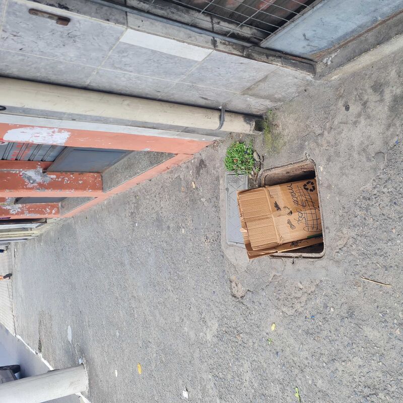 Imagem da publicação