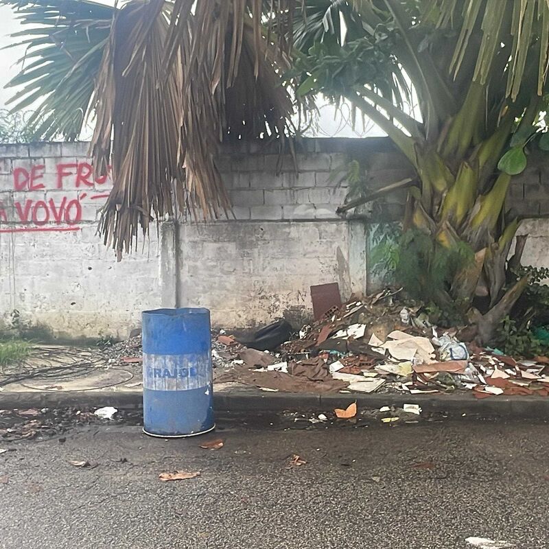 Imagem da publicação