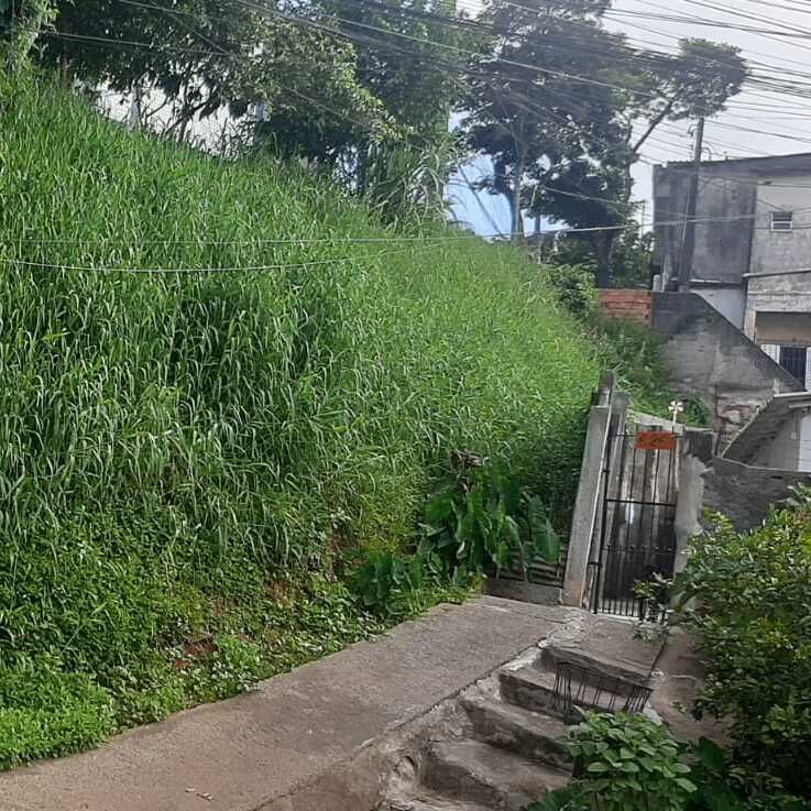 Imagem da publicação