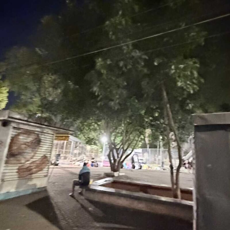 Imagem da publicação