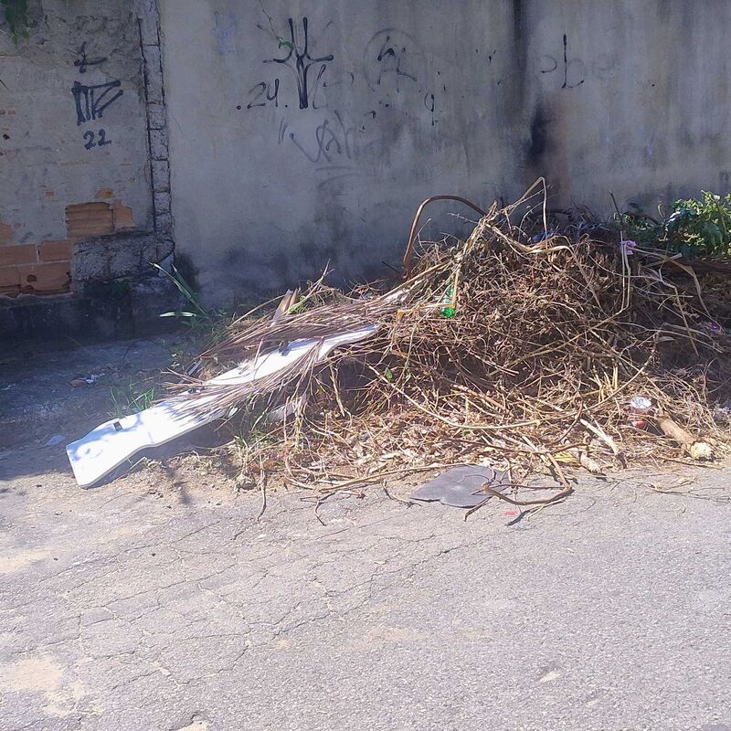 Imagem da publicação