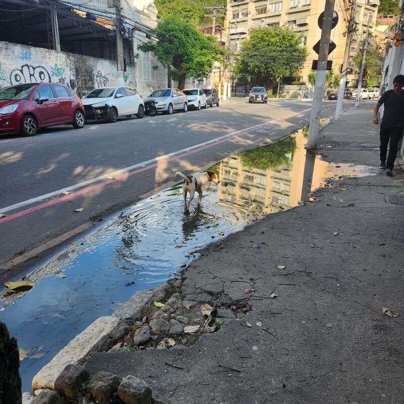 Imagem da publicação