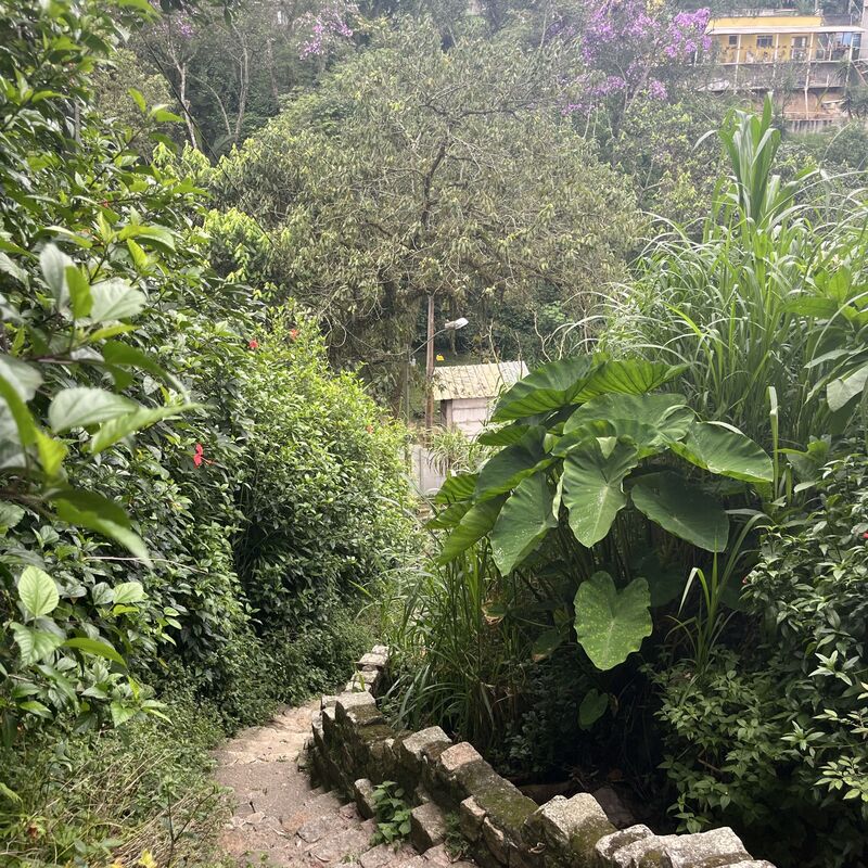 Imagem da publicação