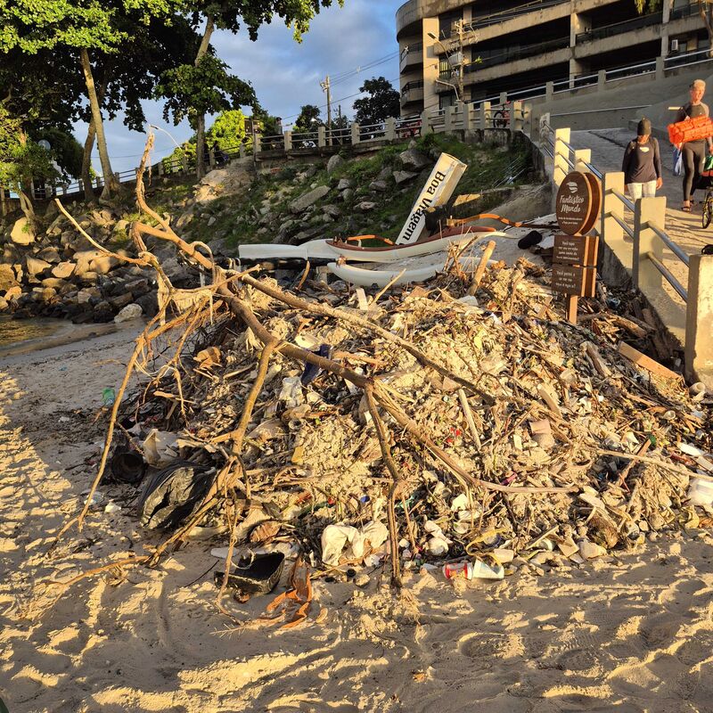 Imagem da publicação