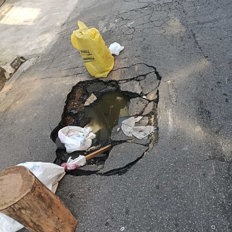 Imagem da publicação