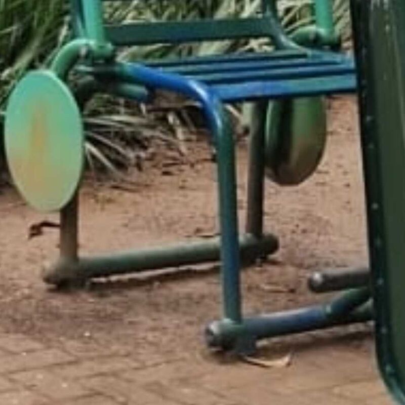 Imagem da publicação