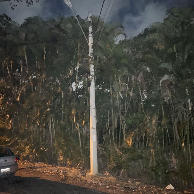 Imagem da publicação