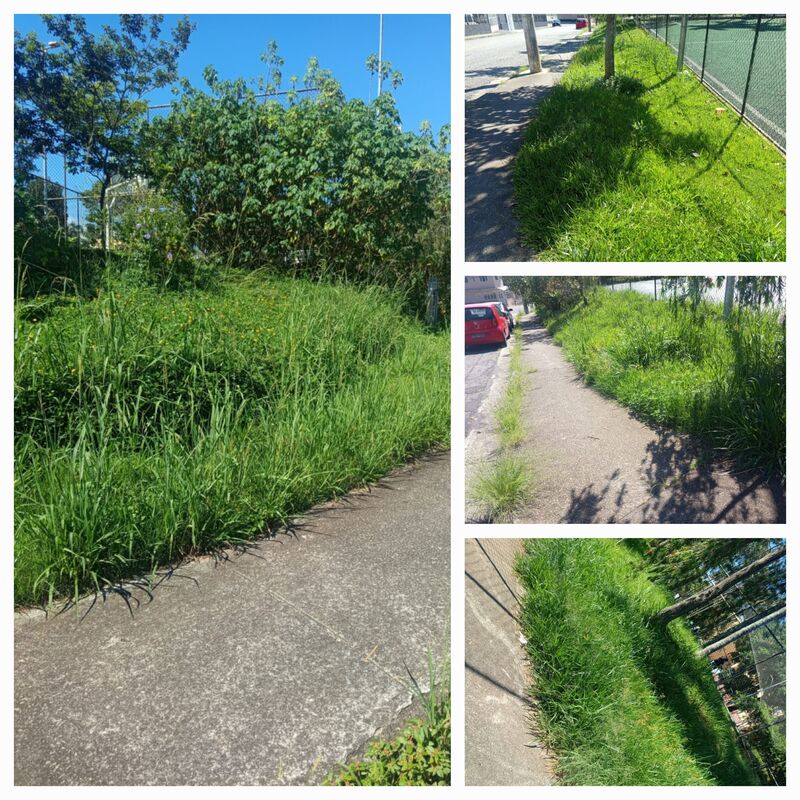 Imagem da publicação