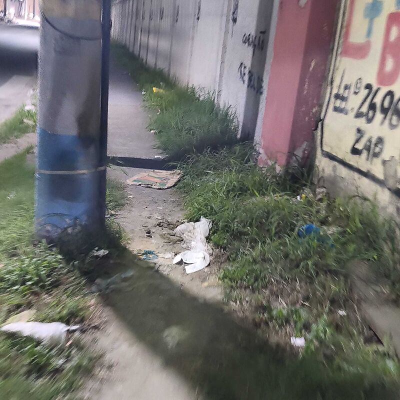Imagem da publicação