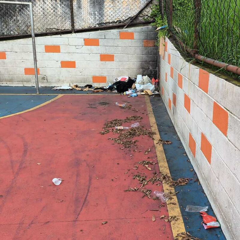 Imagem da publicação