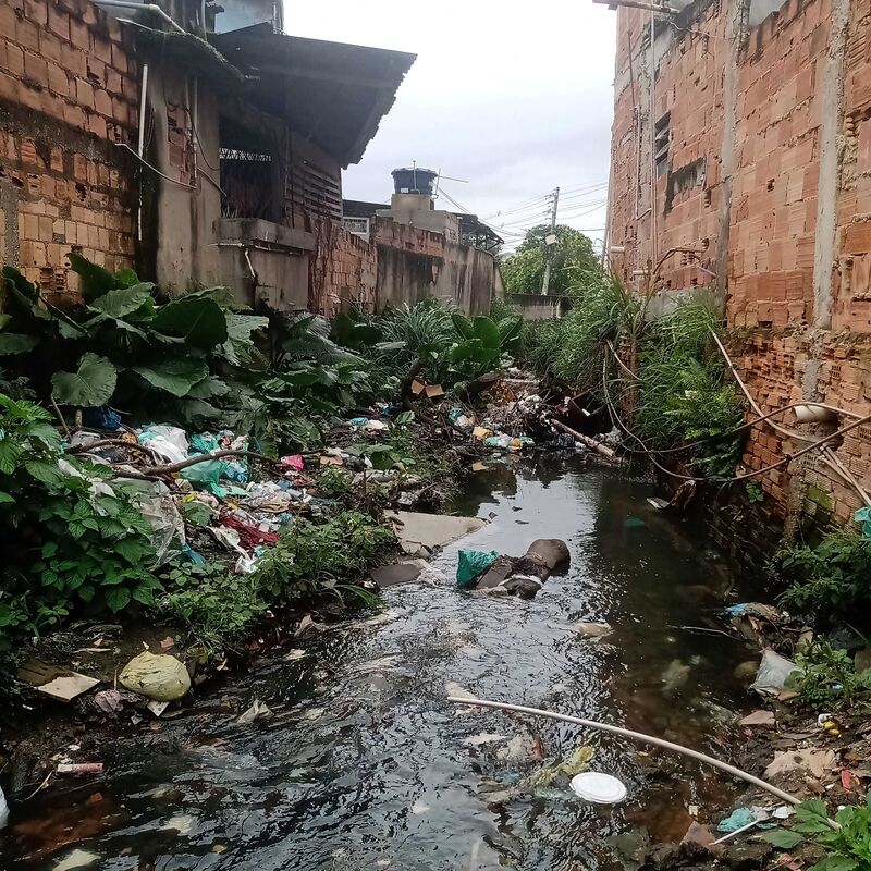 Imagem da publicação