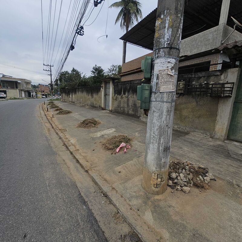 Imagem da publicação