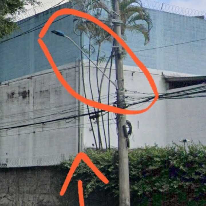 Imagem da publicação