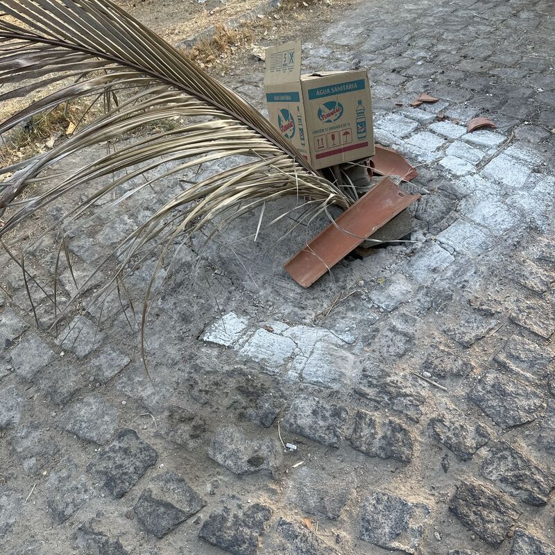 Imagem da publicação