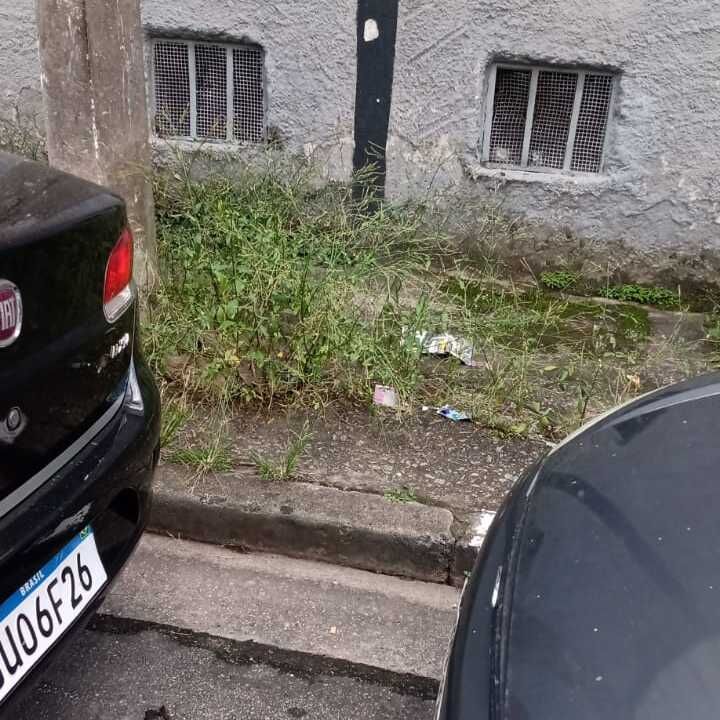 Imagem da publicação