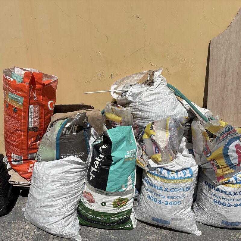 Imagem da publicação