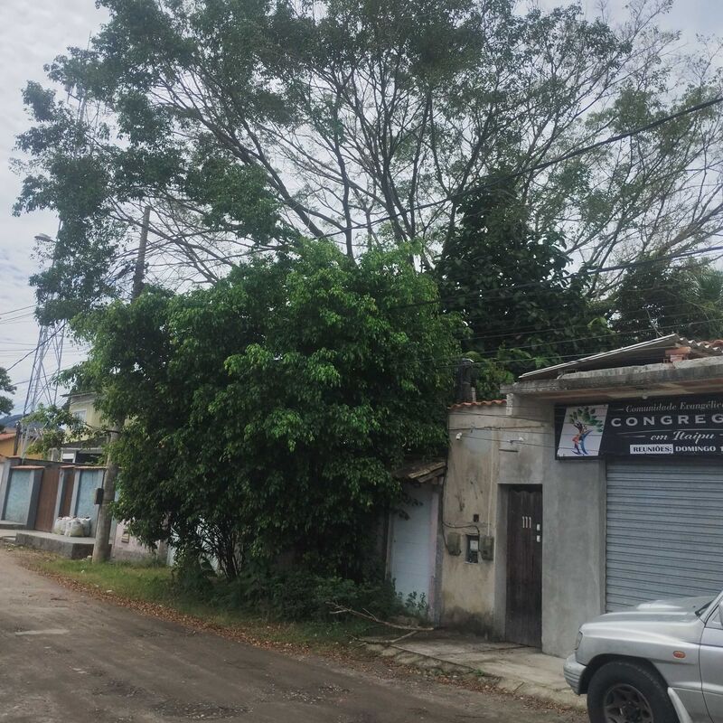 Imagem da publicação