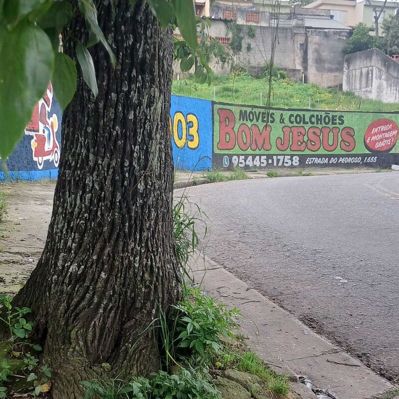 Imagem da publicação
