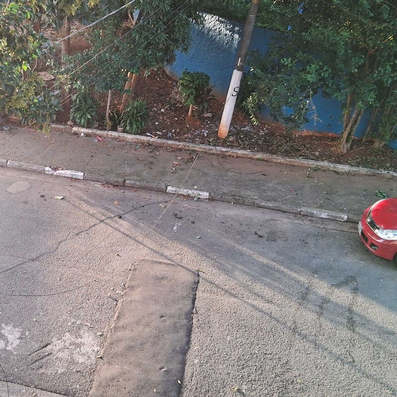 Imagem da publicação