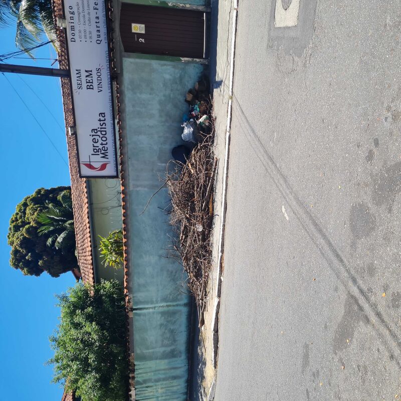 Imagem da publicação