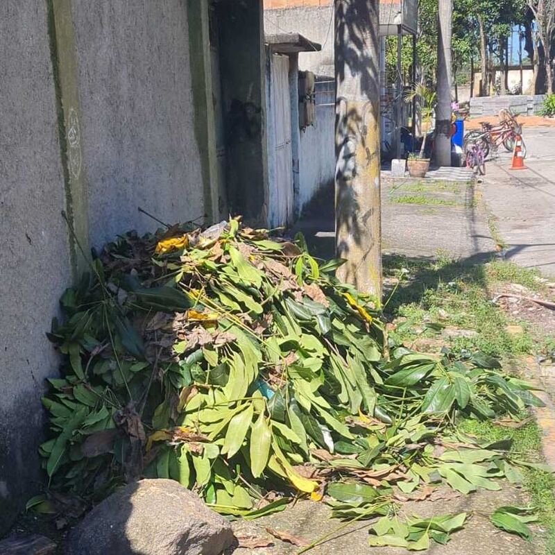 Imagem da publicação