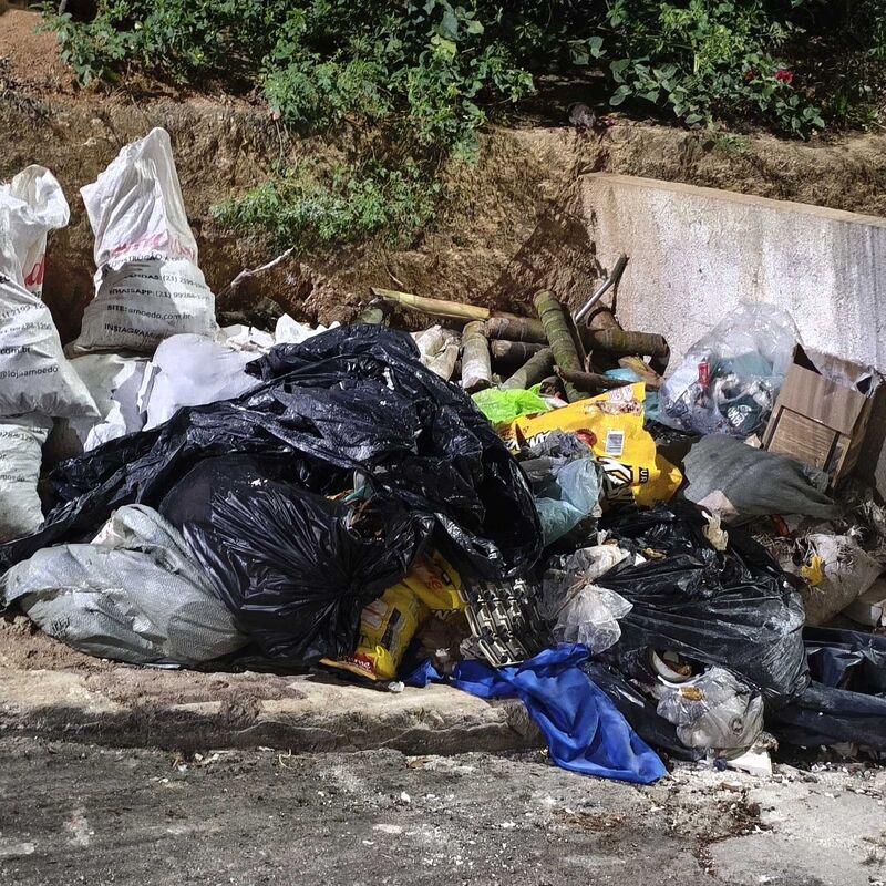 Imagem da publicação