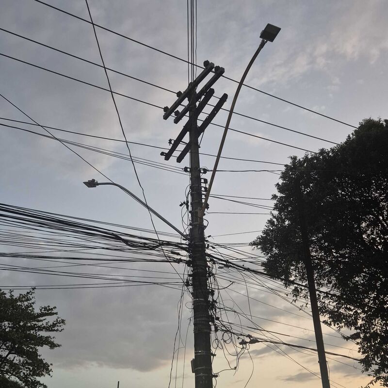 Imagem da publicação