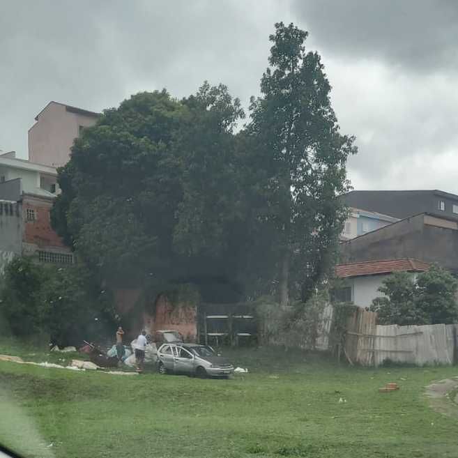 Imagem da publicação