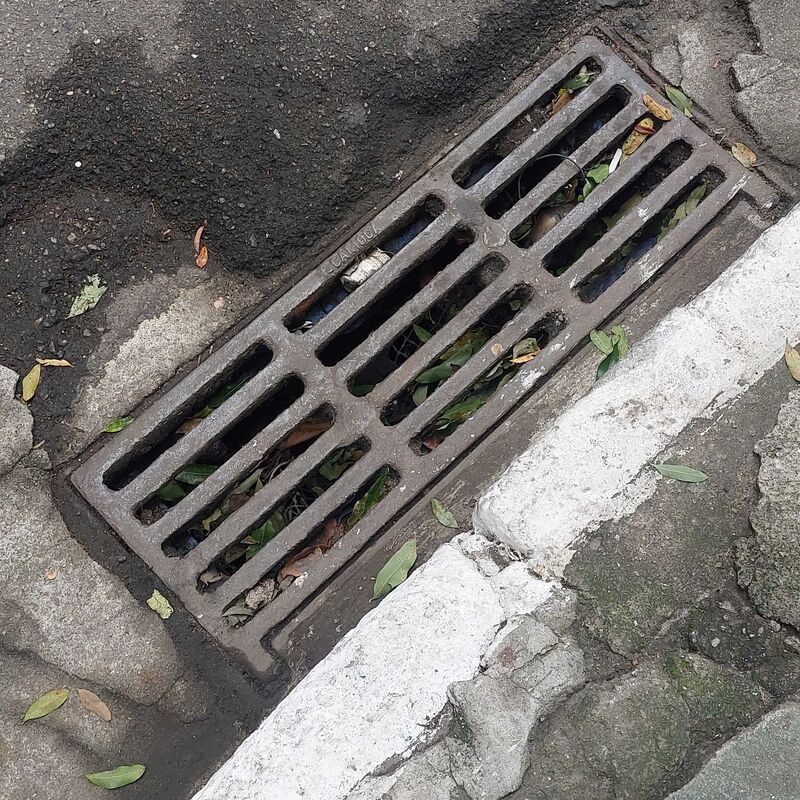 Imagem da publicação