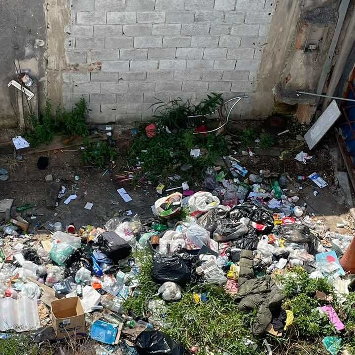 Imagem da publicação