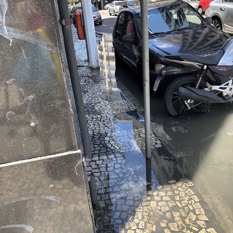 Imagem da publicação