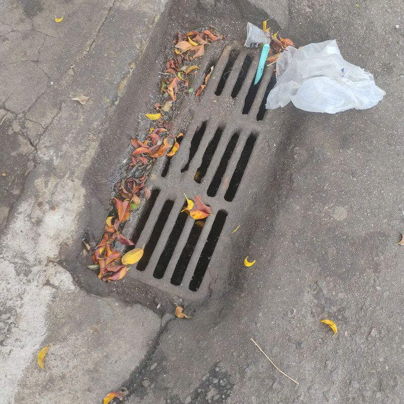 Imagem da publicação