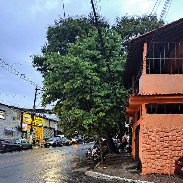 Imagem da publicação