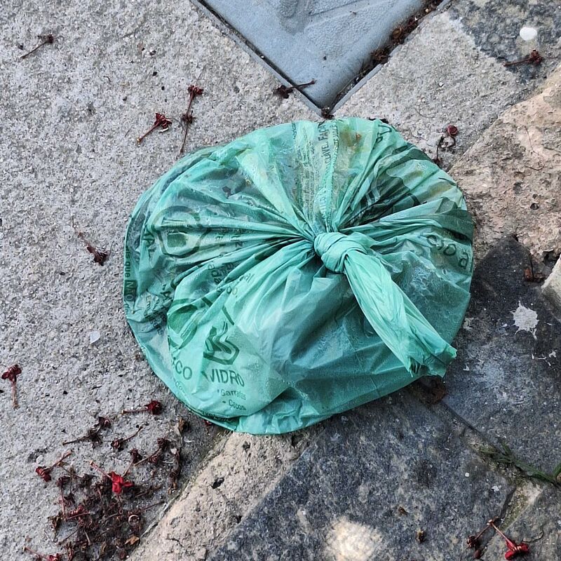 Imagem da publicação