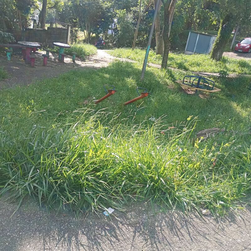 Imagem da publicação