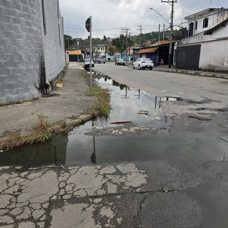 Imagem da publicação