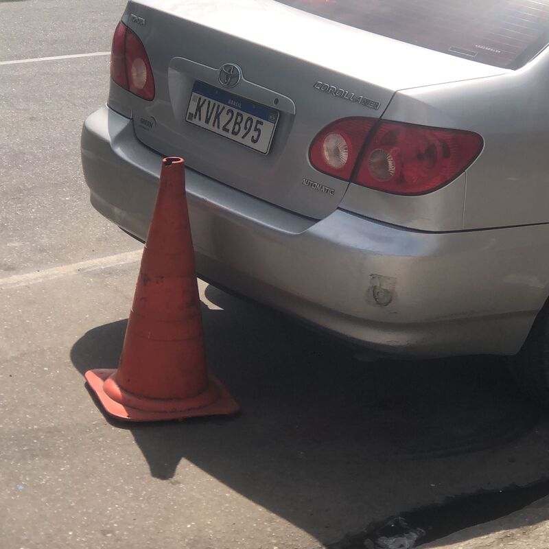 Imagem da publicação