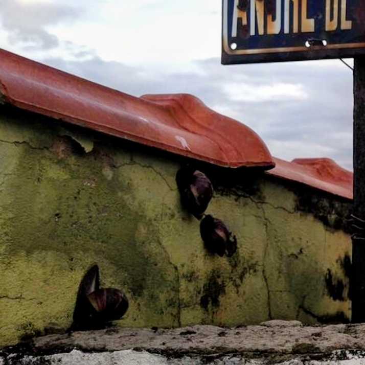 Imagem da publicação